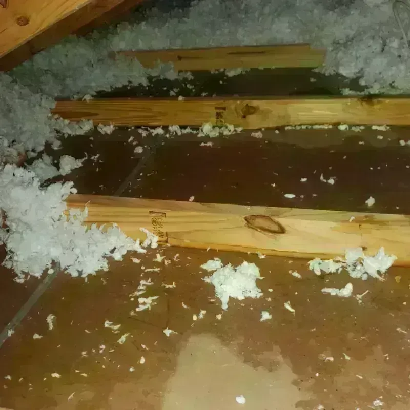 Attic Water Damage in Arcanum, OH