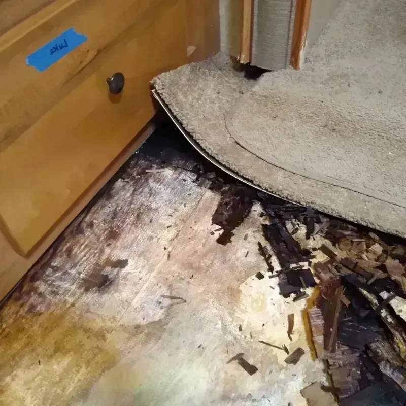 Best Wood Floor Water Damage Service in Arcanum, OH